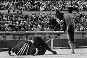 Image description is not available for 2010.012